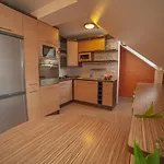 Przy Gorskich Rzekach Apartment